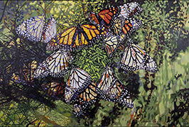 Пеперутки 3
