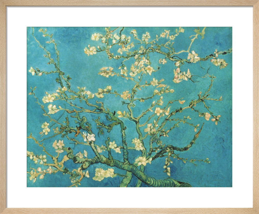 Almond blossom 1890